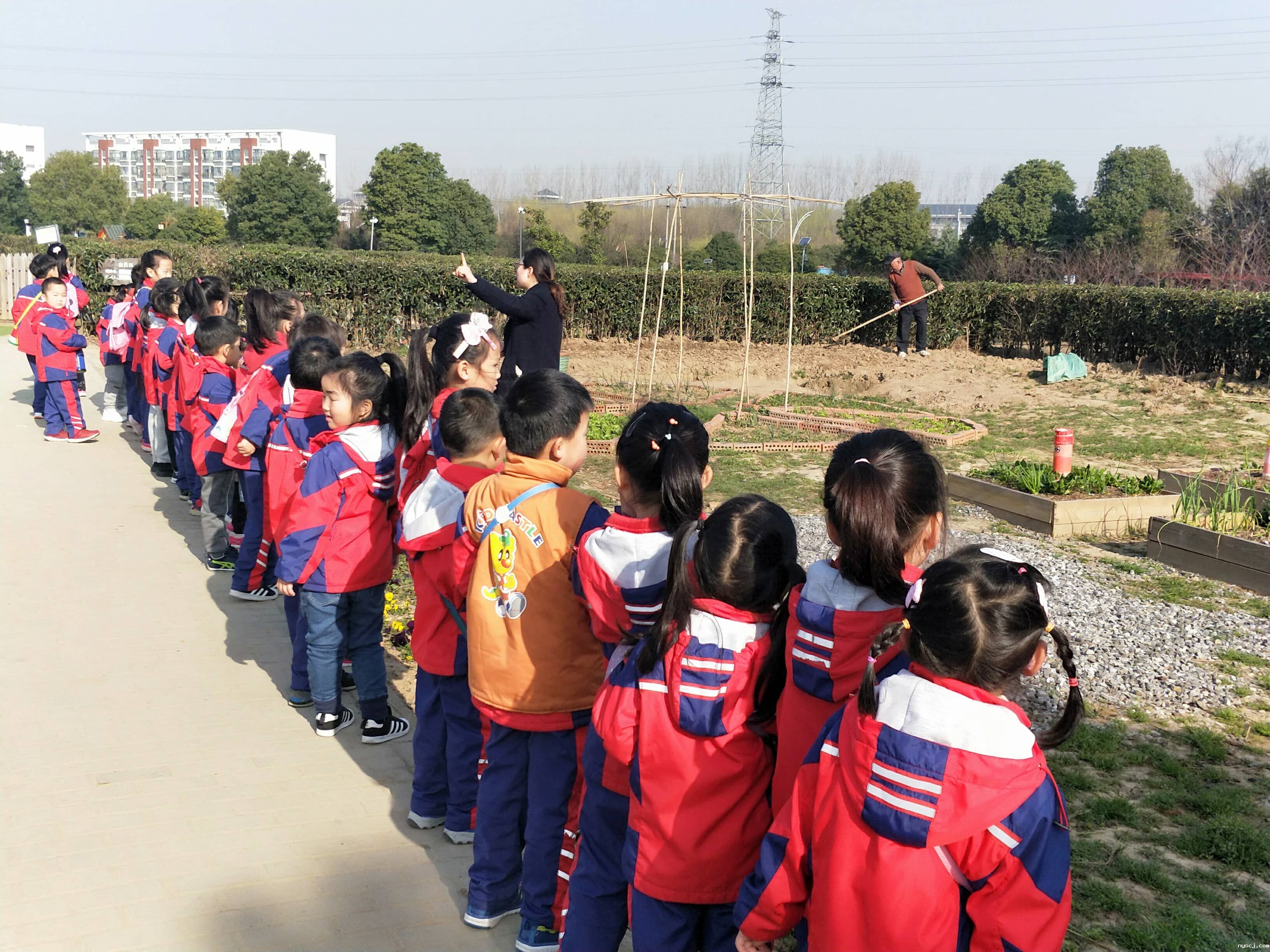 1554120406.jpg 1554120406.jpg