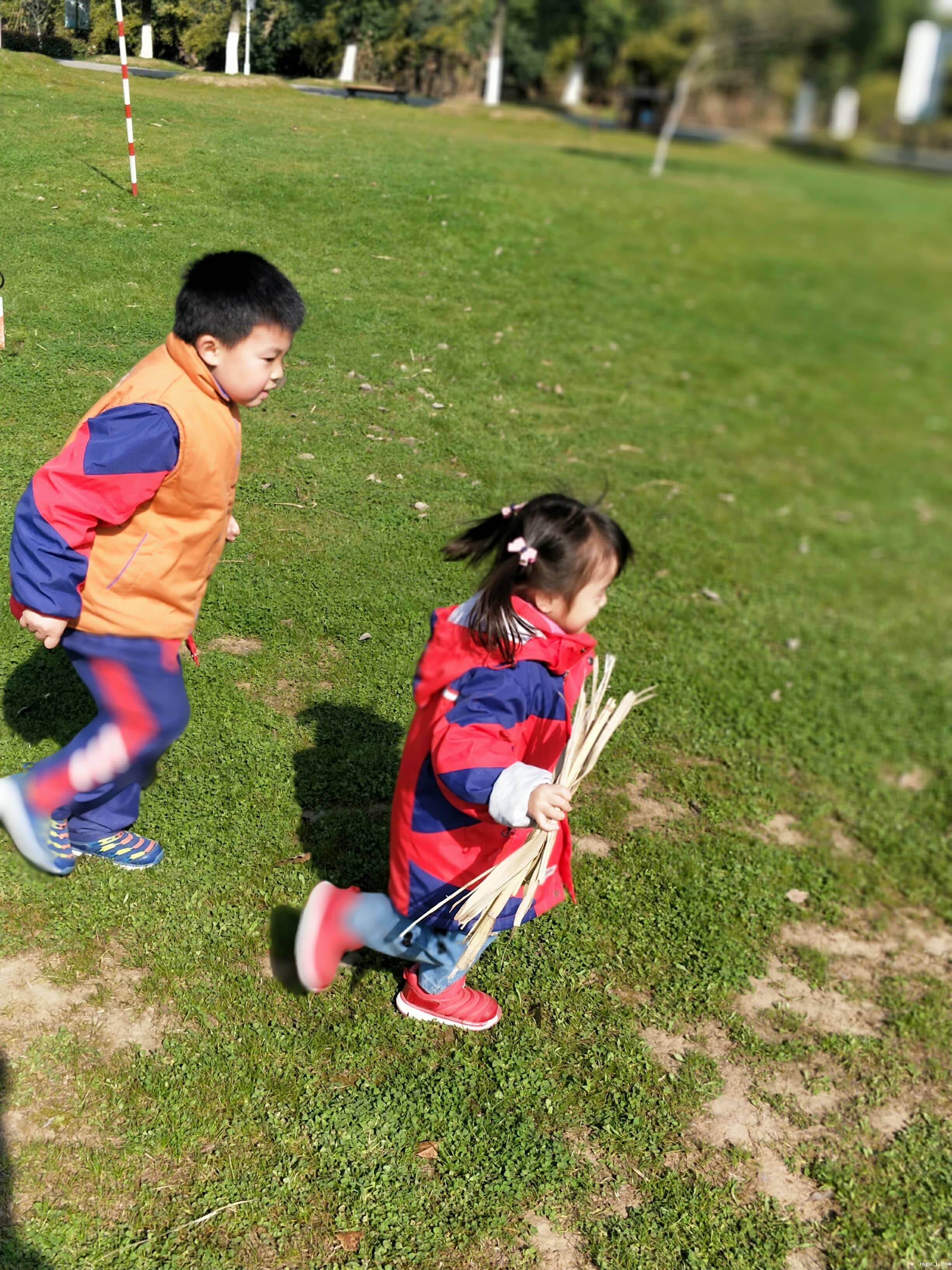 1554120853.jpg 1554120853.jpg