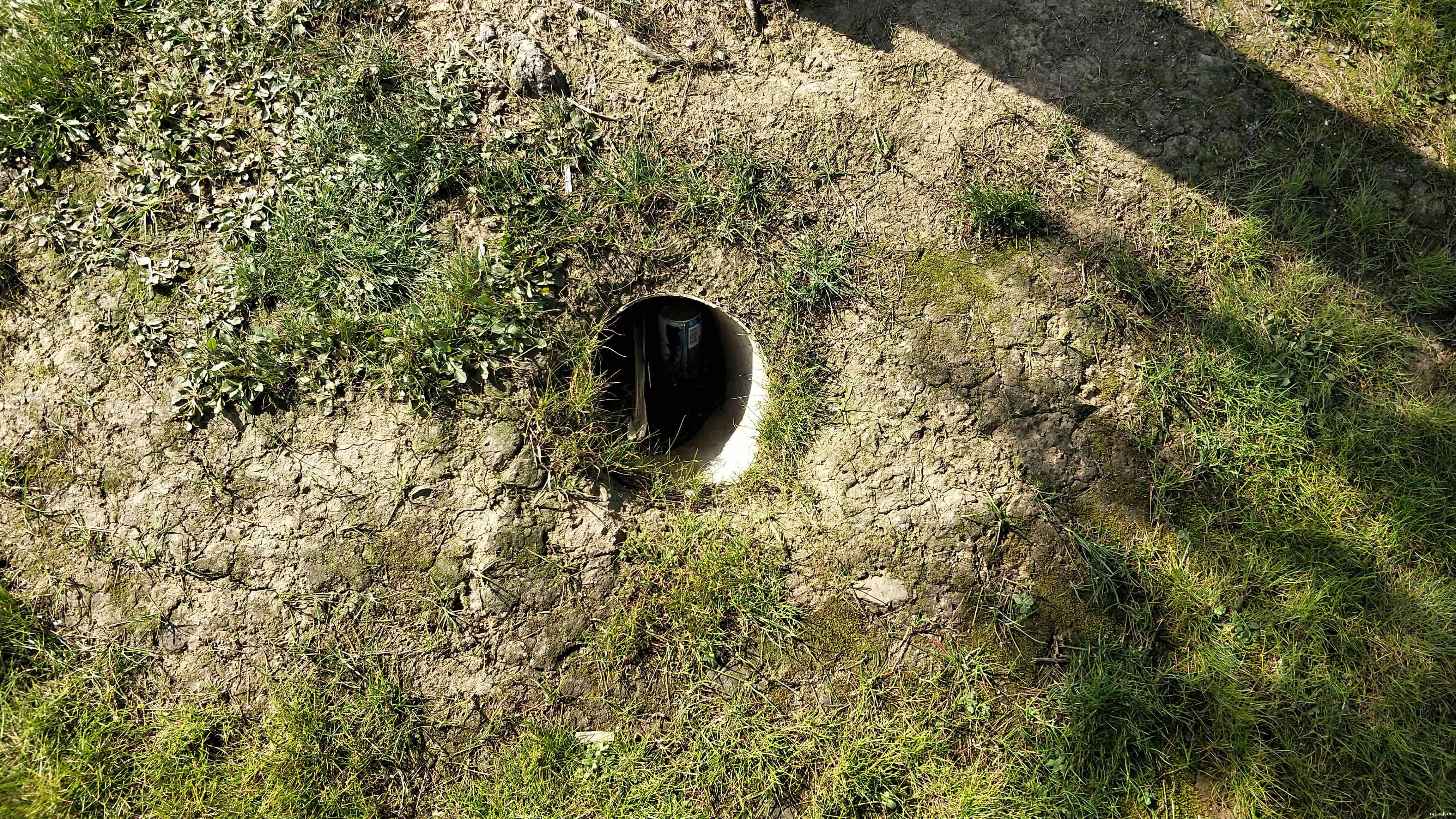 1554121216.jpg 1554121216.jpg