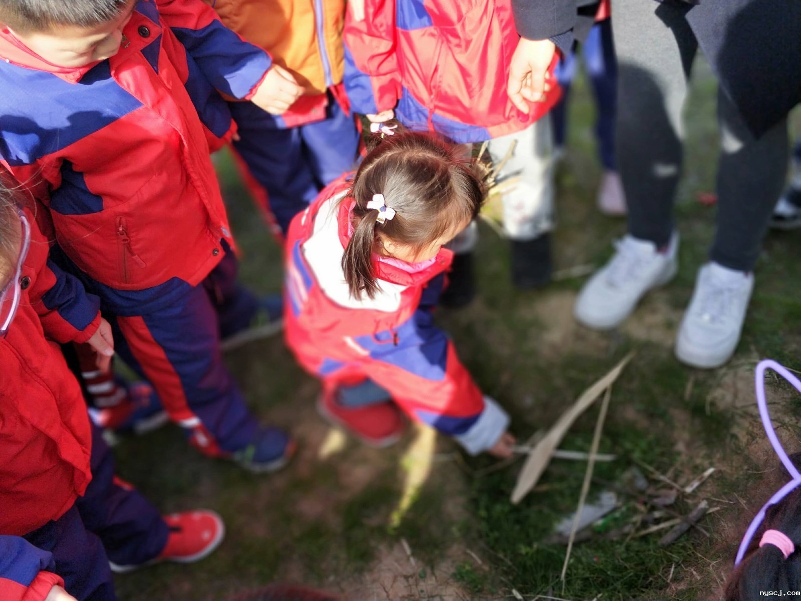 1554121482.jpg 1554121482.jpg