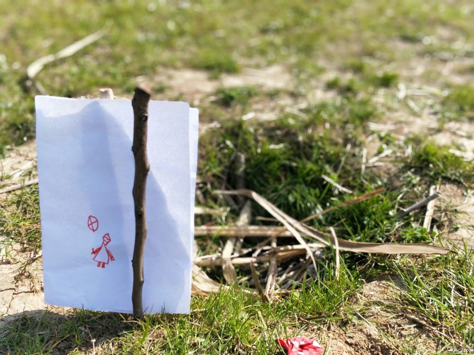 1554121484.jpg 1554121484.jpg