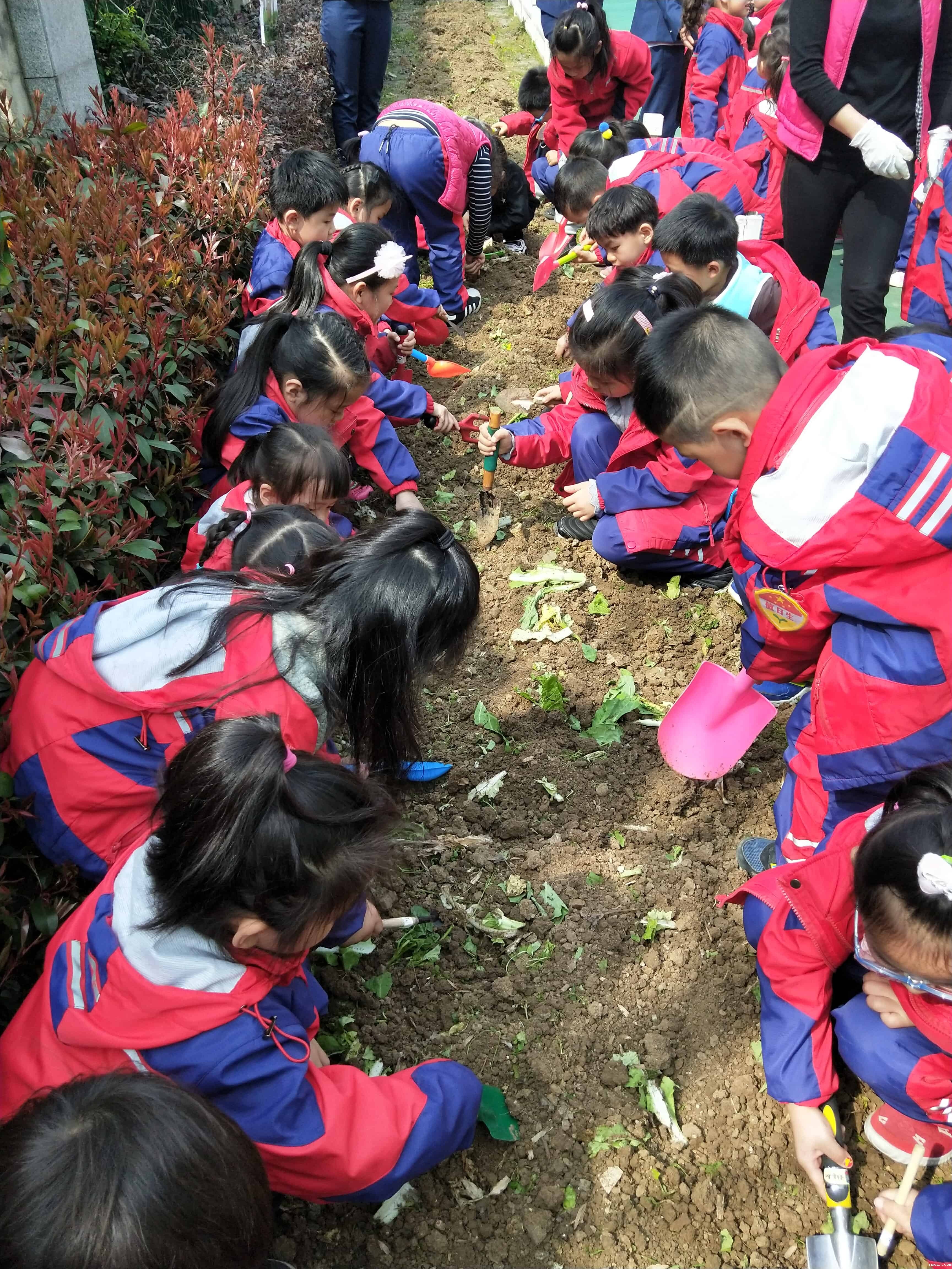 1554125118.jpg 1554125118.jpg