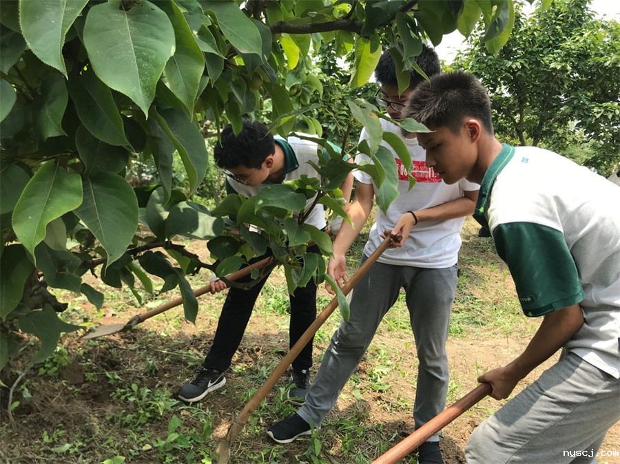 1560772941346665.jpg 瞧他们的认真劲.jpg