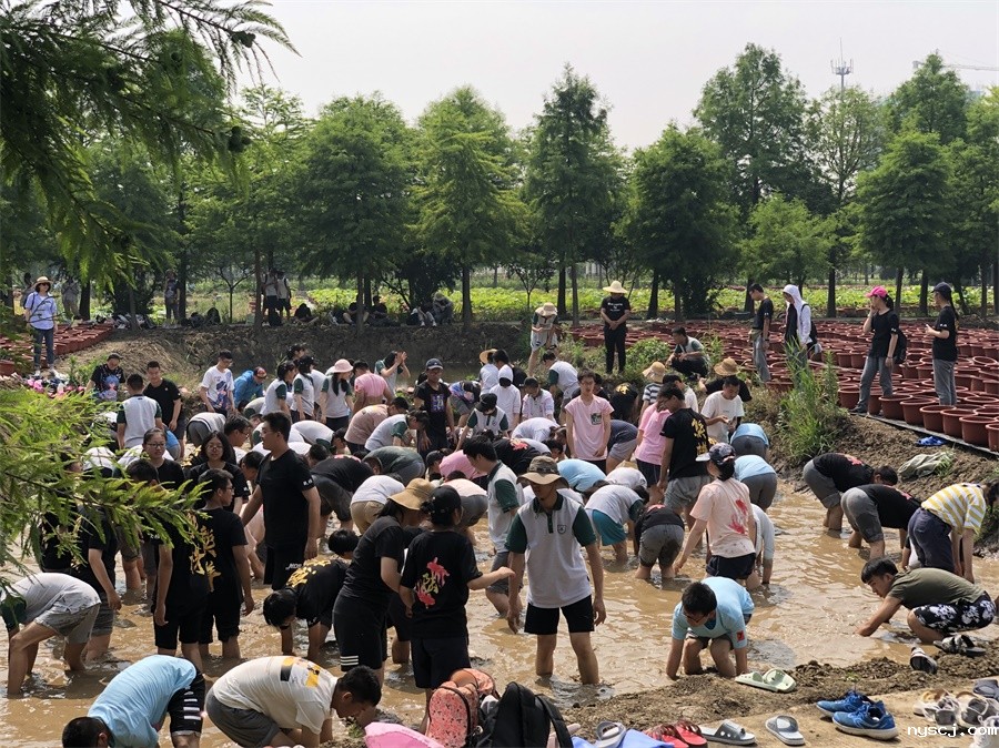 1560772946616013.jpg 摸鱼大比拼.jpg