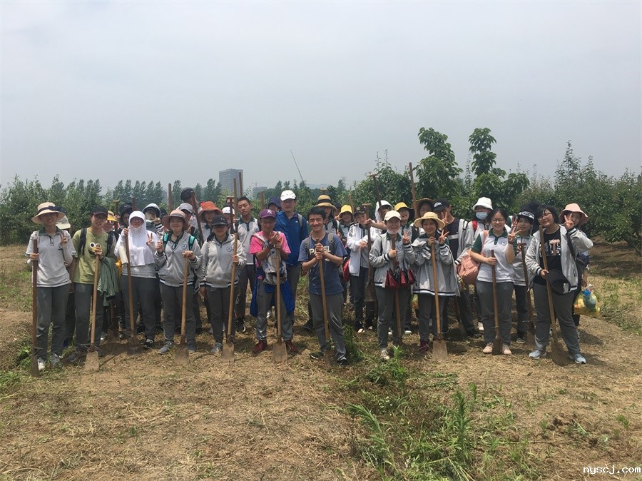 1560772961910385.jpg 劳动最光荣.jpg