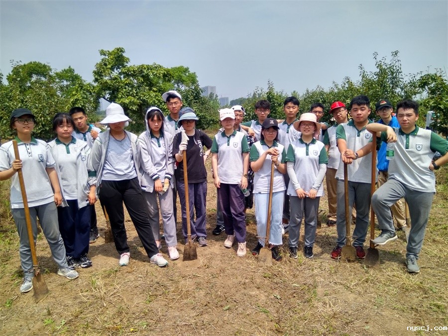 1560772965780541.jpg 劳动后的喜悦.jpg