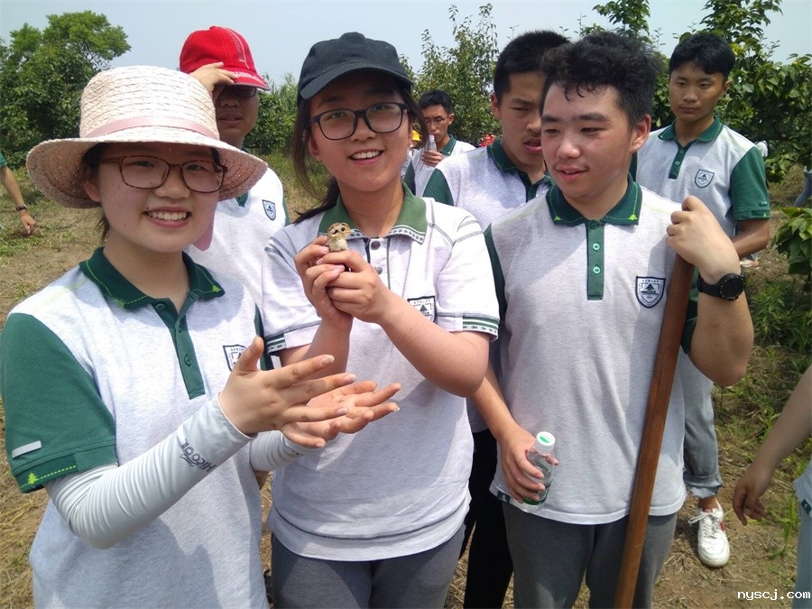 1560772975751169.jpg 好可爱的小鸟.jpg