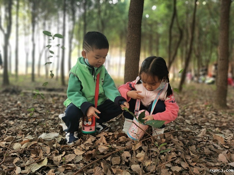 1638354368513671.jpg 5.jpg