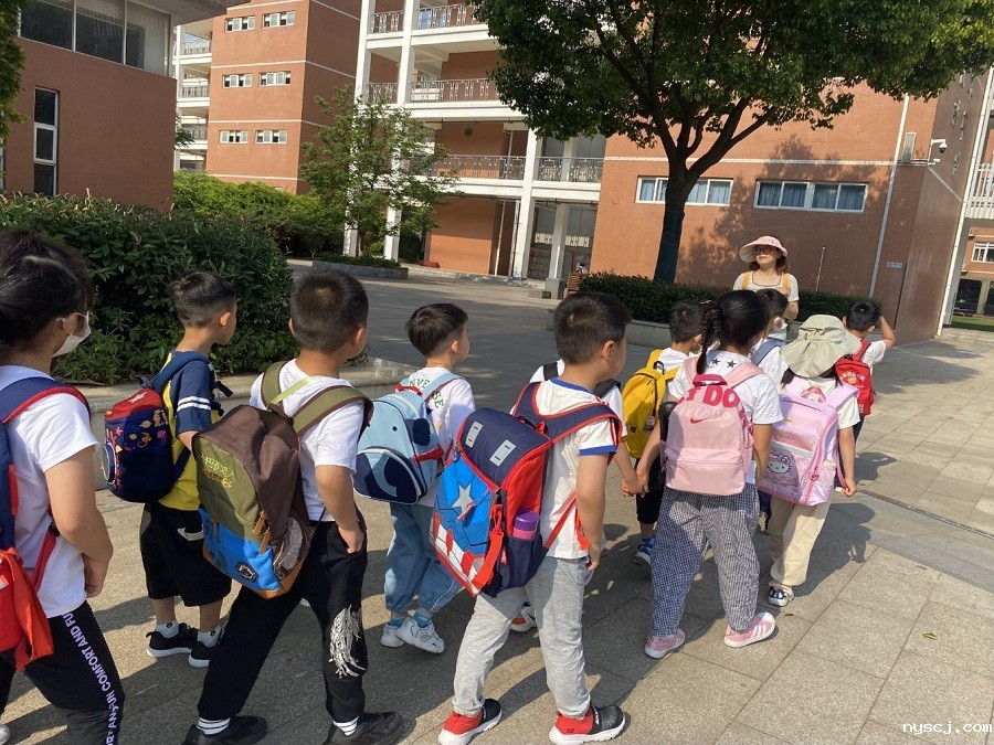 1655514003278155.jpg 1.jpg