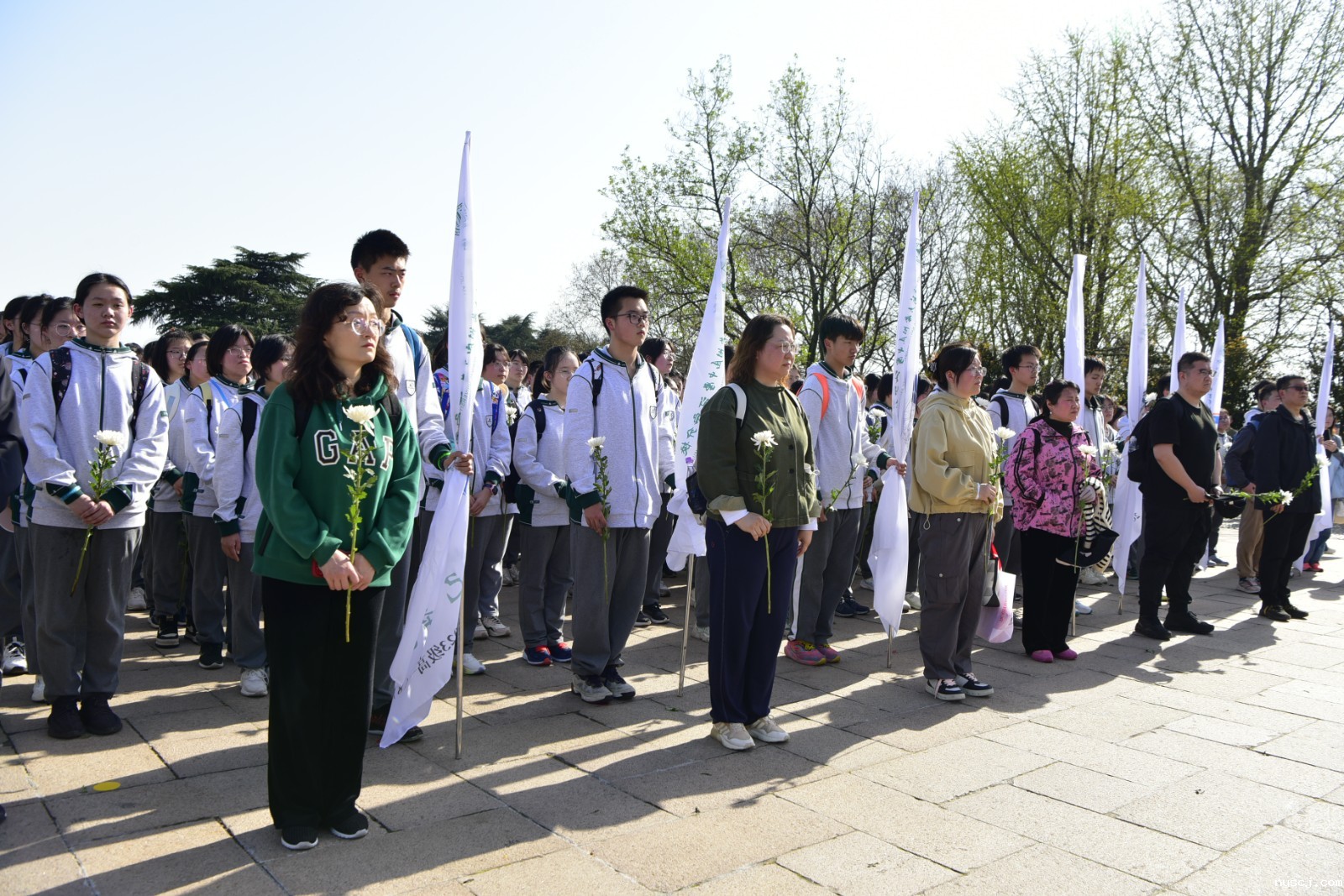 1714989428545823.jpg 1714989428545823.jpg