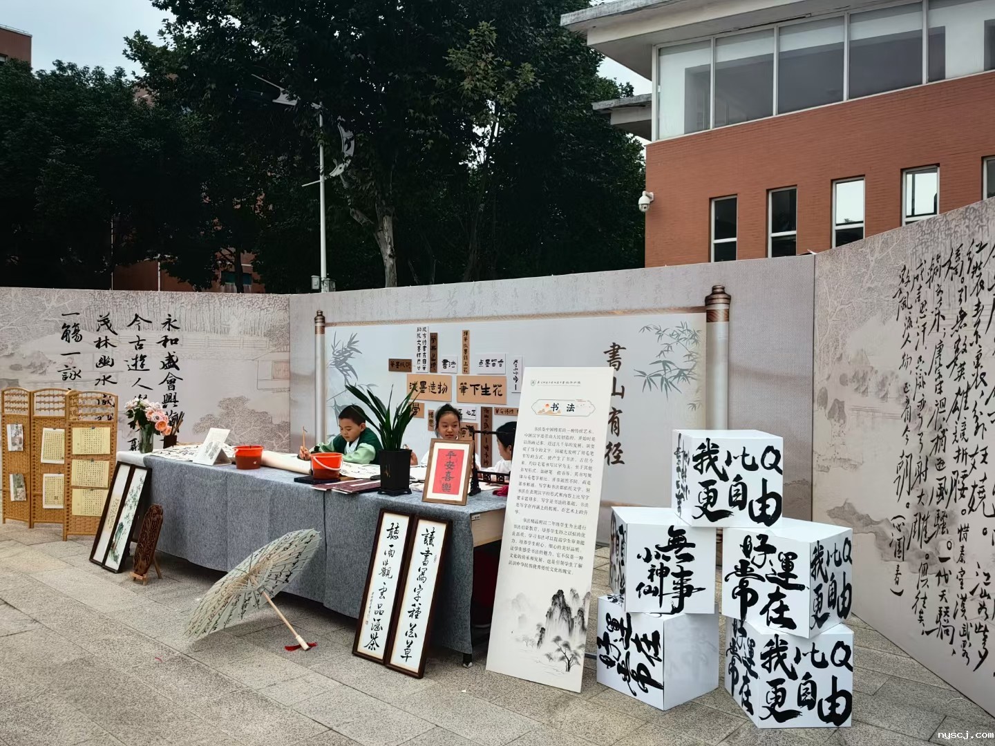 1725416687292236.jpg mmexport1697106299525.jpg