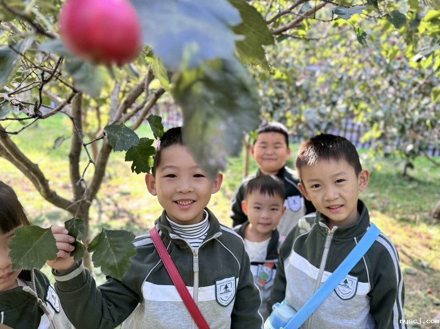 1733119830489211.jpg 1.jpg