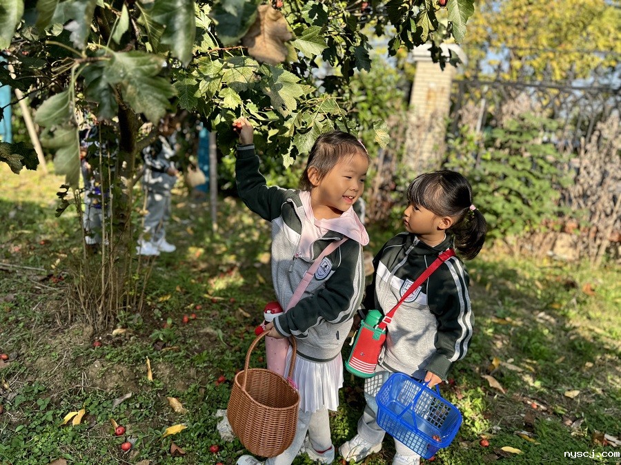 1733119859140829.jpg 2.jpg