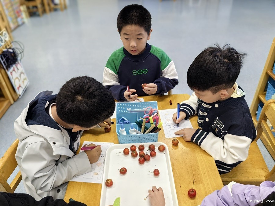 1733119899207351.jpg 3.jpg