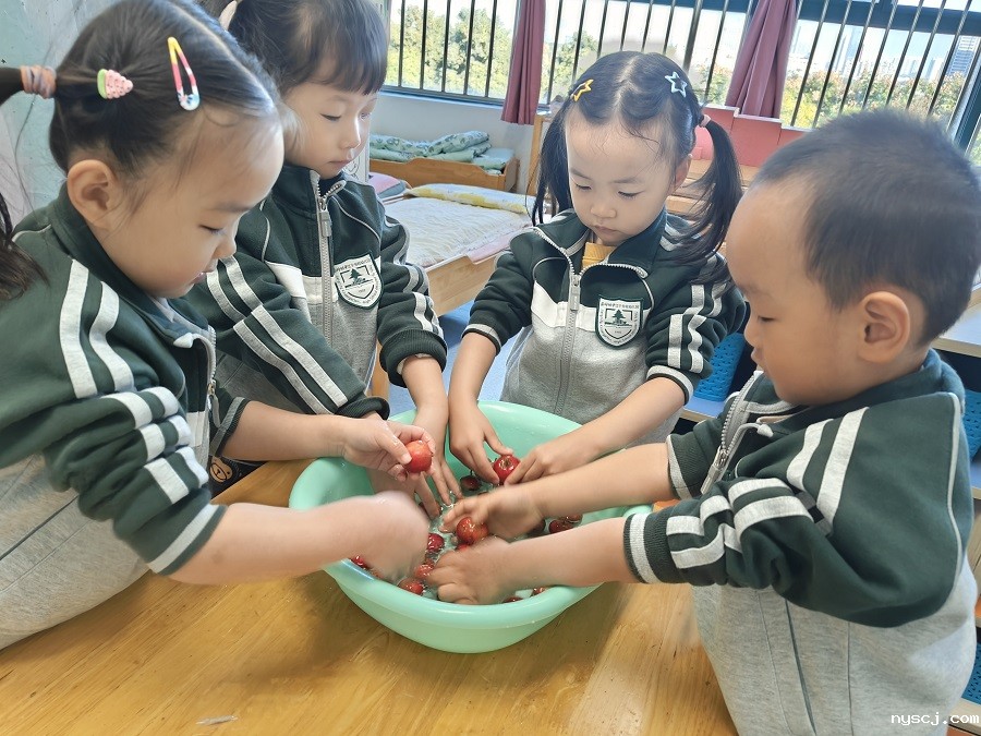 1733120082441865.jpg 4.jpg