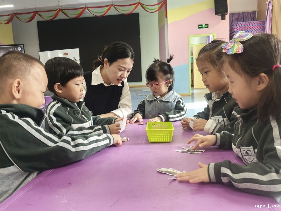 1733291663231513.jpg 2.jpg