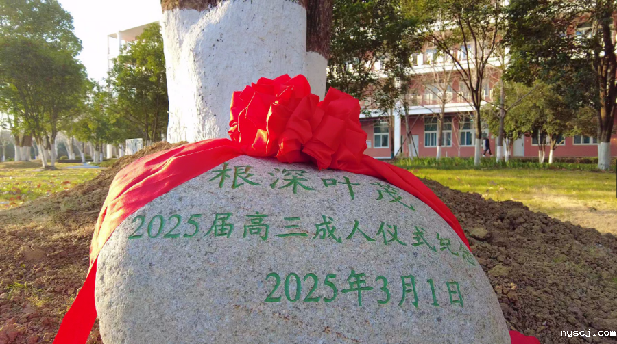 1741855704980727.png 12_副本.png