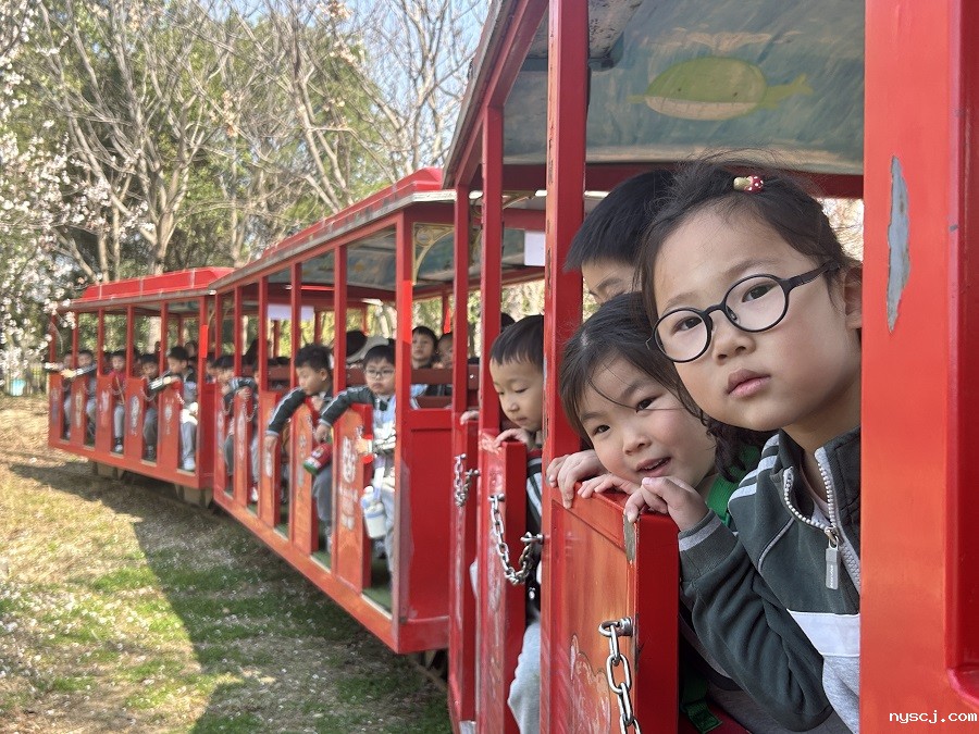 1742791892827273.jpg 2.jpg