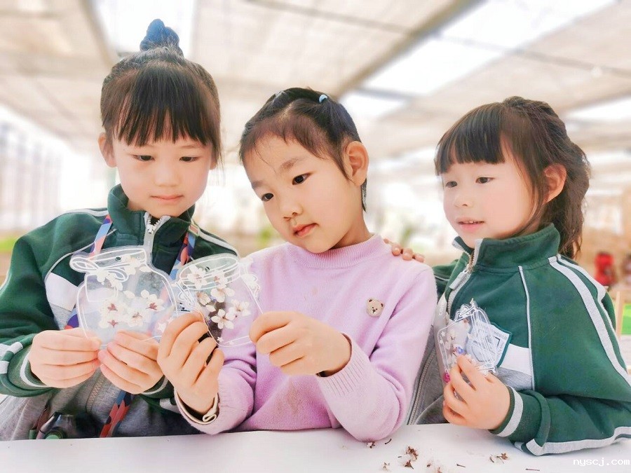 1742791904266835.jpg 3.jpg