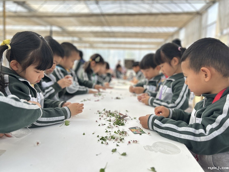 1742791912942839.jpg 4.jpg