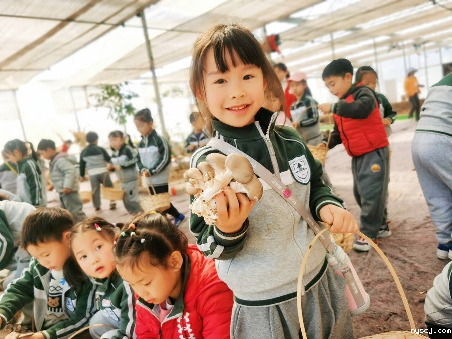 1742791922580002.jpg 5.jpg