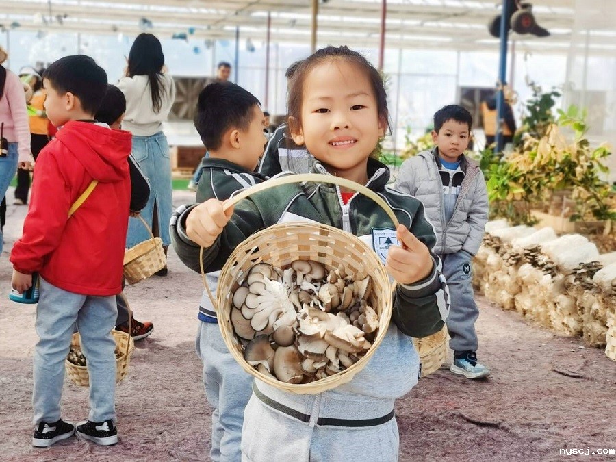 1742791930893317.jpg 6.jpg