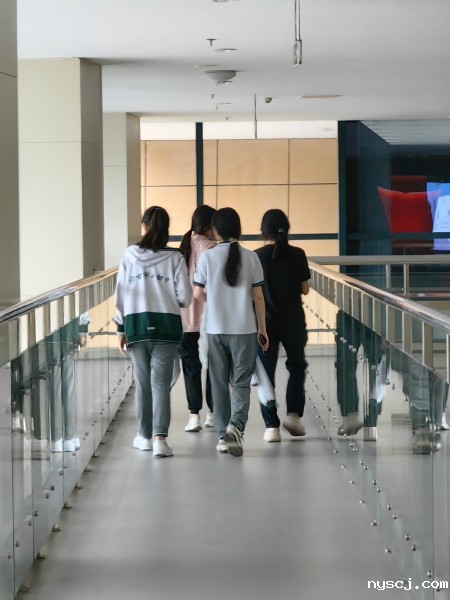 1749517919281510.jpg 1749517919281510.jpg