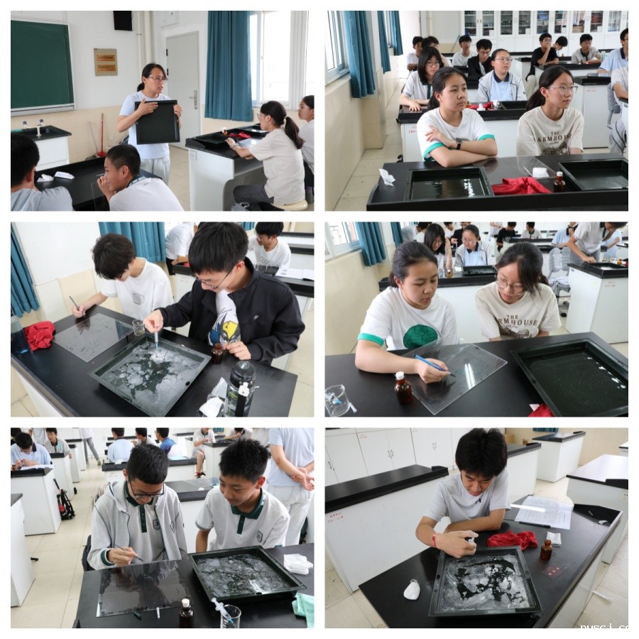 1751246786417750.jpg 7-1_副本.jpg