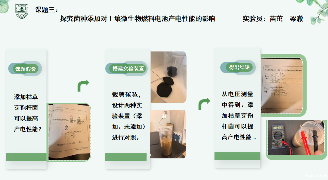 1760665968639181.png 1760665968639181.png